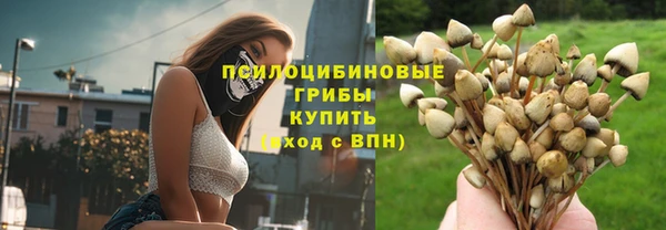 сатива Кодинск