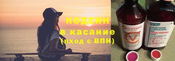 стаф Козловка